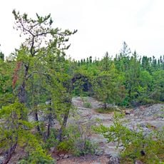Northern Canadian Shield taiga