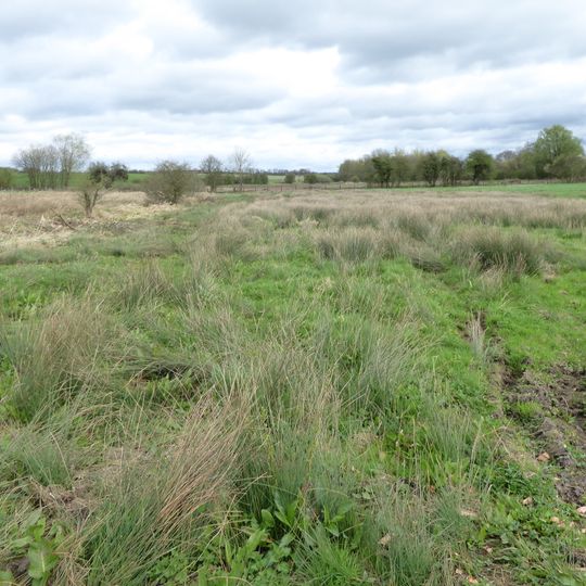 Bulwick Meadows