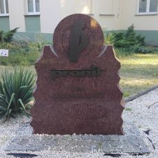 Izba Regionalna Czarnej Płyty