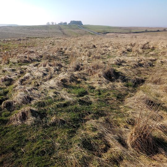 Brocolitia Roman fort