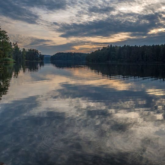 Distretto di Sulęcin