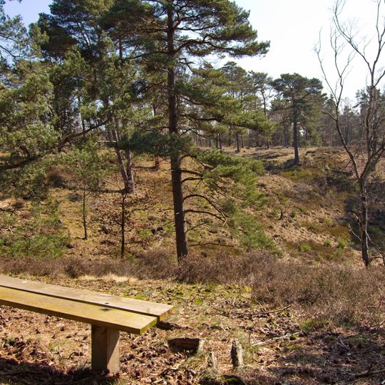 Borstel in der Kuhle