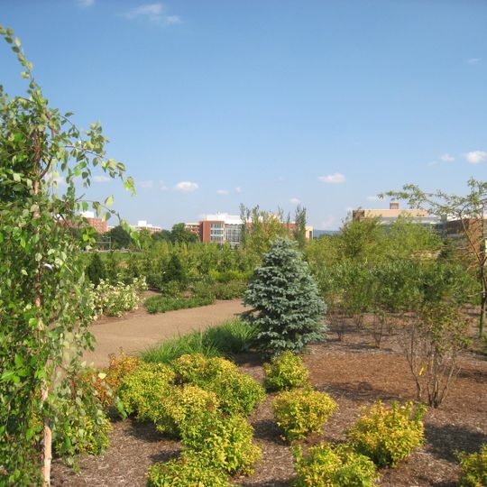 Arboreto de la Penn State