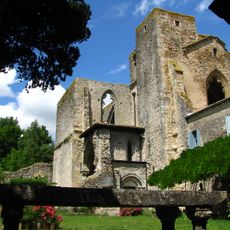 Vestiges de l'abbatiale Sainte-Marie de Saint-Martin-le-Vieil