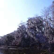 Lochloosa Lake