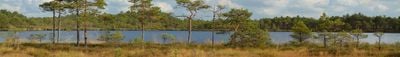 Panoramablick 4