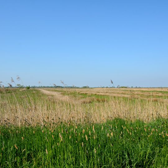 Lundener Niederung westlich des Umleitungsvorfluters