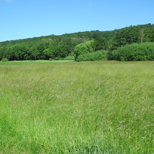 Flachsrasen bei Dittershausen