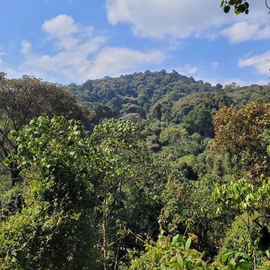 Kibira National Park