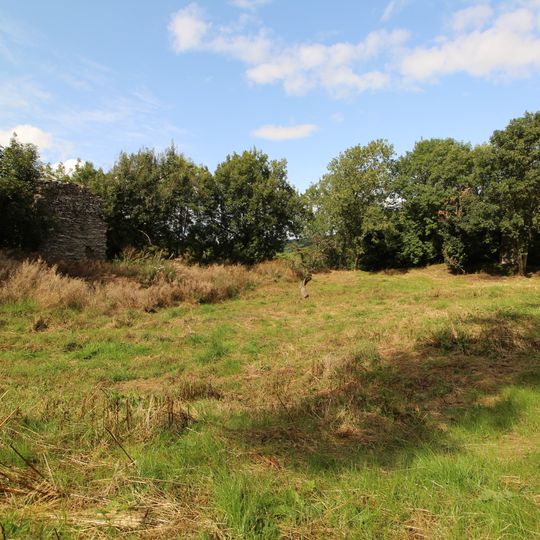 Remains Of Huntington Castle