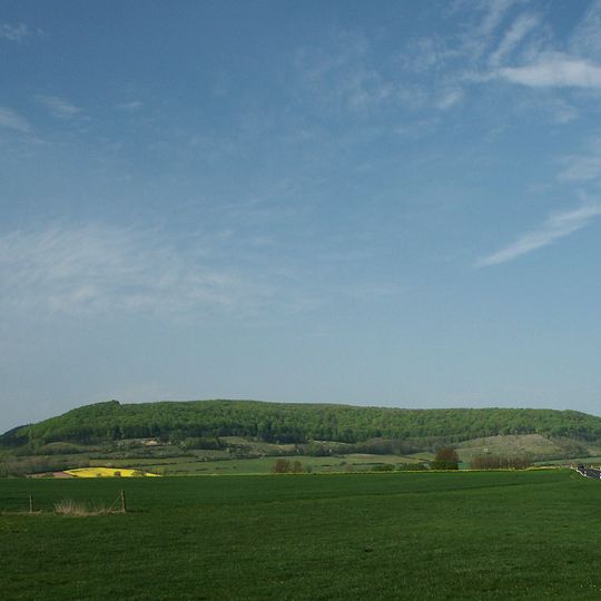 Dreienberg-Landecker