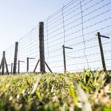 The State Museum of Majdanek