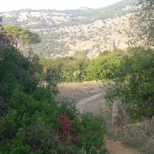 Parco della Favorita