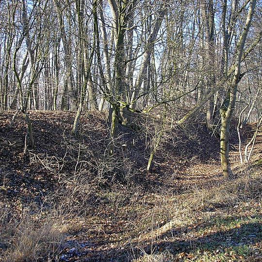 Burgstall Mühlhausen