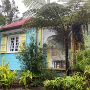 Creole restaurants in Réunion: traditional cuisine, caris and rougails