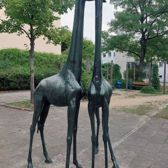 Giraffengruppe