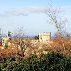 Burgruine Spitzturmhof