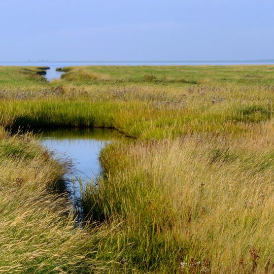 Hamburger Hallig