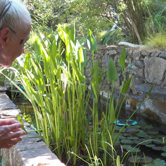 Jardin botanique privé L'Hardy-Denonain