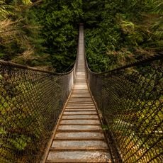 Lynn Canyon Suspension Bridge
