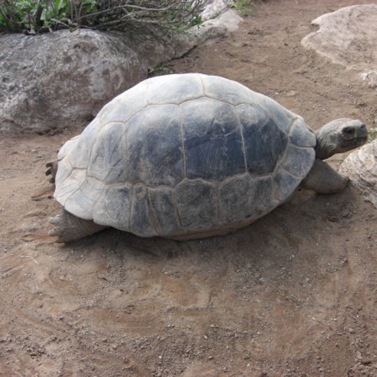 Bermuda Aquarium, Museum & Zoo