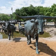 Cattle Drive