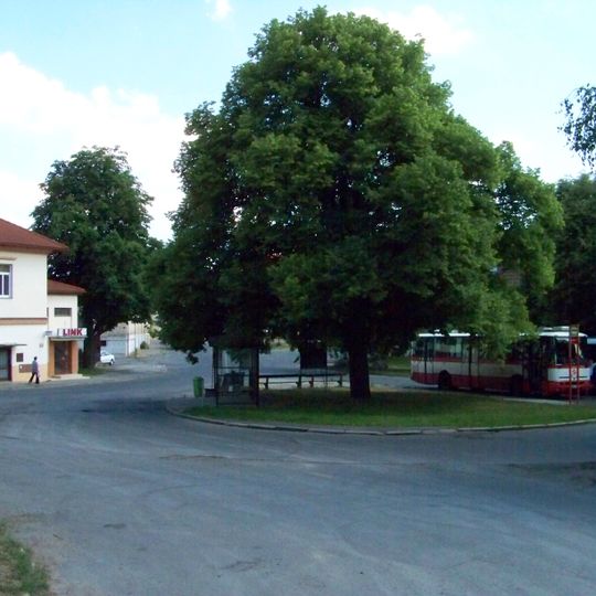 Lípa na náměstí Padlých v Nebušicích