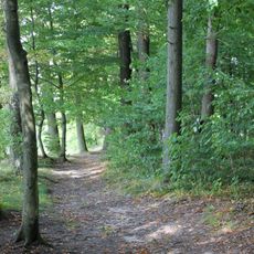 Park leśny przy nadleśnictwie