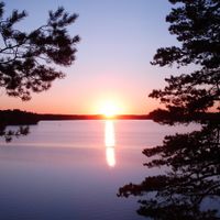 Distrito de Viborgski