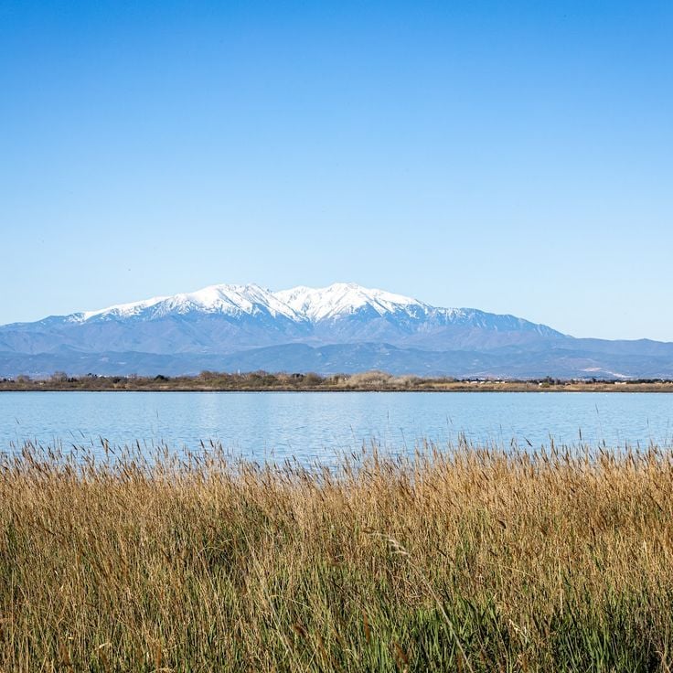 Étang de Canet-Saint-Nazaire