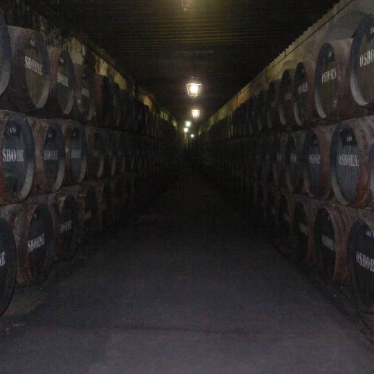 Bodega Moreno de Mora