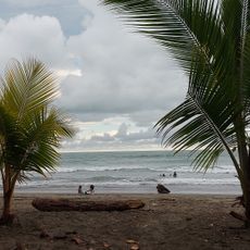 Playa Matapalo