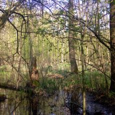 Nature reserve Uroczysko Bażantarnia