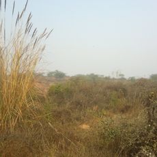 Aravali Biodiversity Park, Gurgaon