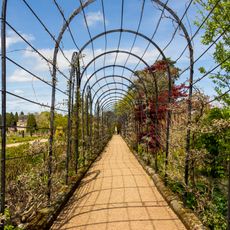 Arbour Trellis