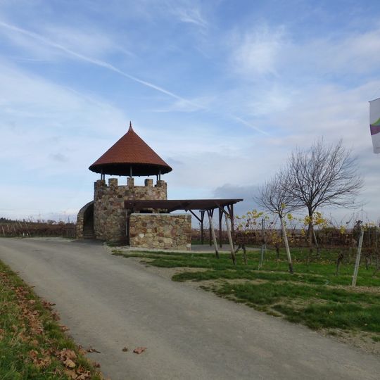 Weinbergsturm Spiesheim