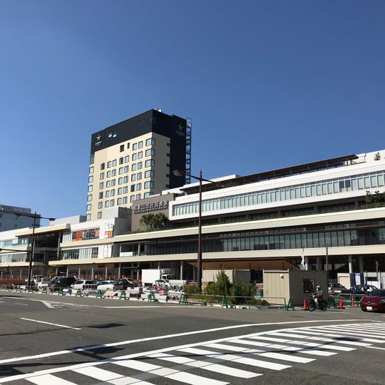 Wakayamashi Station