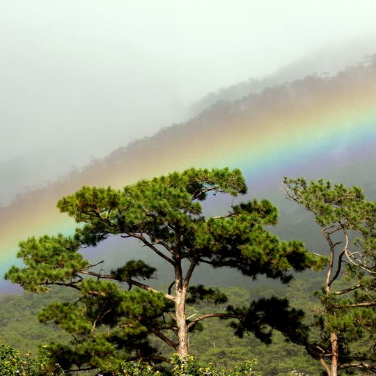 Parco nazionale di Bidoup Nui Ba