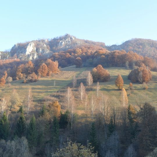 Cheile Tecșeștilor