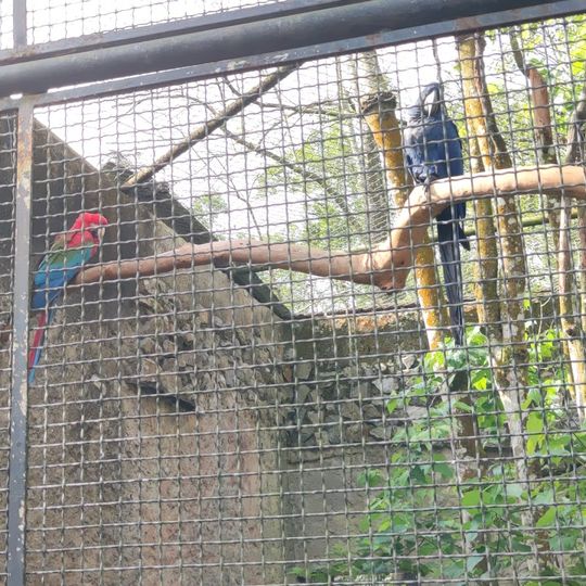 Zoológico do Município de São Bernardo do Campo
