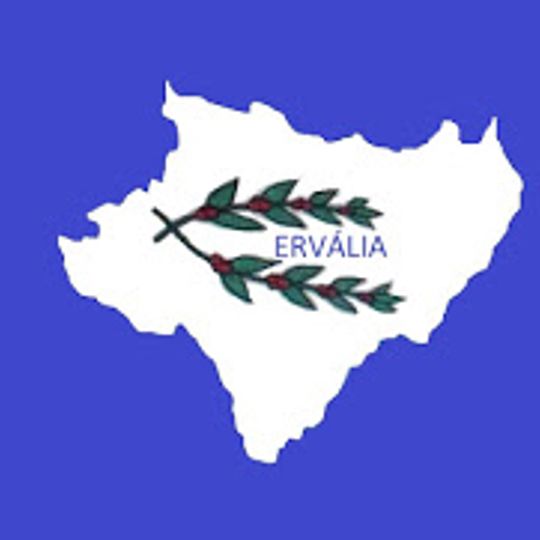 Ervália