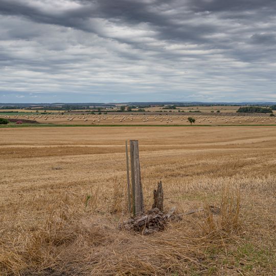 Hrušeň u Svídnice