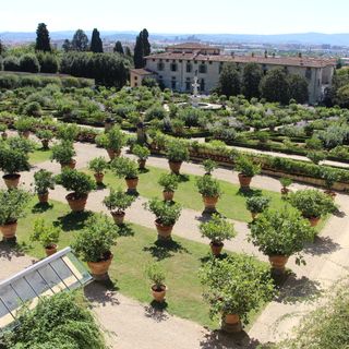 Giardino Storico della Villa Medicea di Castello