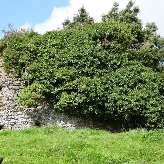 Château du Plessis-Grimoult