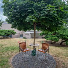 Lavička Václava Havla v kampusu univerzity v Ústí nad Labem