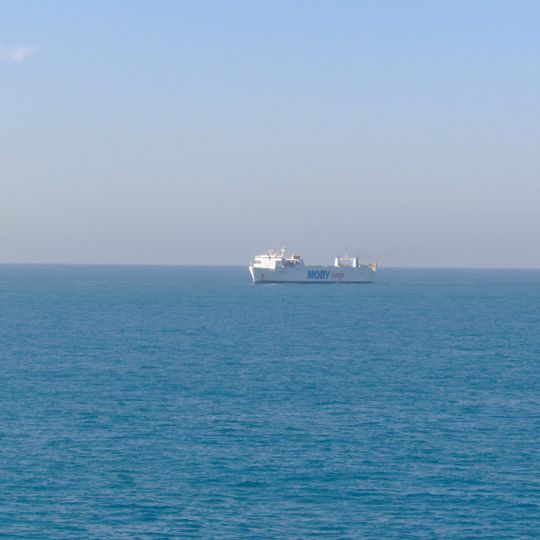 Tutela del Tursiops truncatus