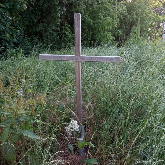 Cross #13 of Via Sancta Mariana