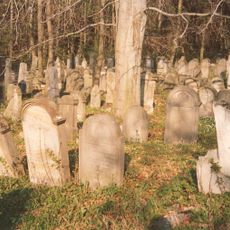 Jewish cemetery in Luže