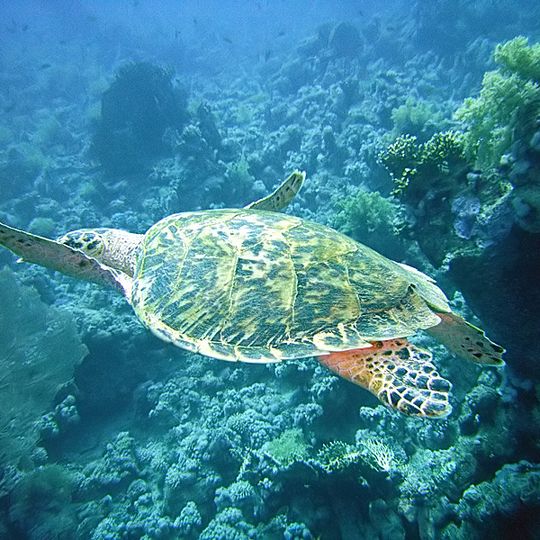 Jackfish Alley, Fisherman’s Bank