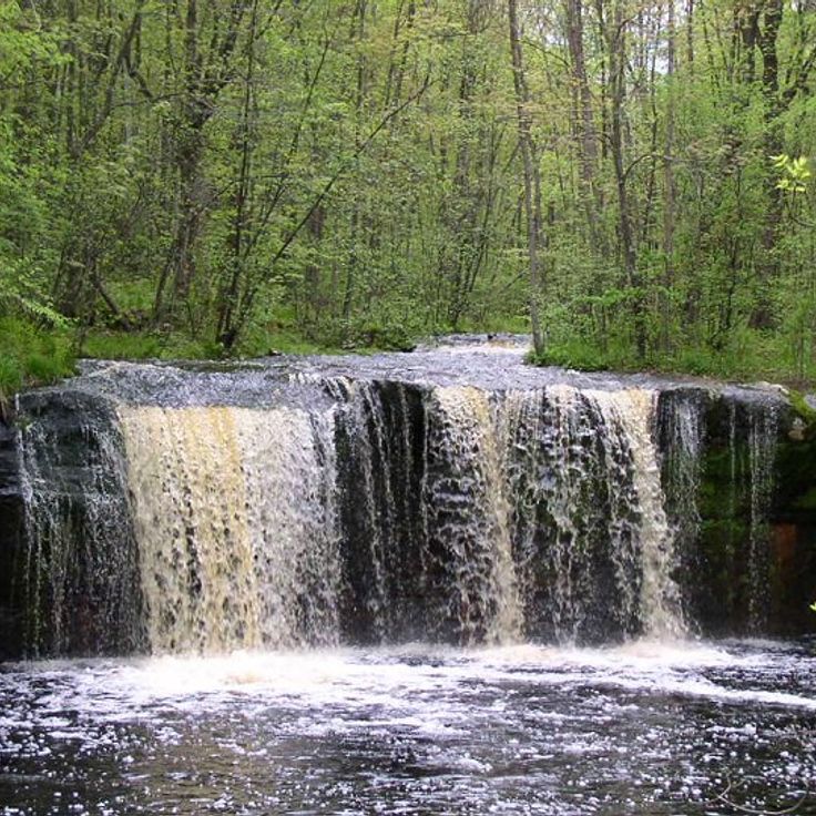 Park Stanowy Banning